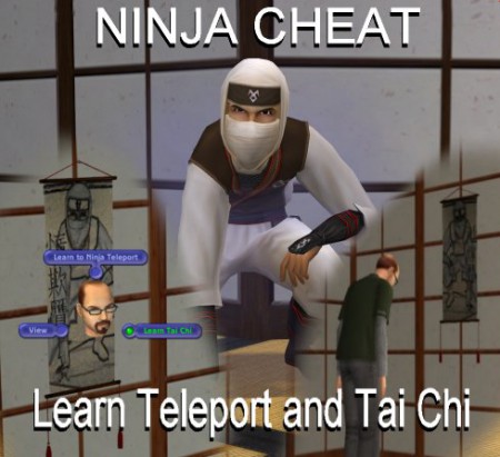 Ninja Cheat! Aprenda Teleport e Tai Chi!!!