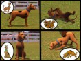 /album/galeria-de-fotos-scooby-doo-para-the-sims-3-pets/mts-xdarkshadowx-1245061-mts-darkshadow-scoobydoo-03-jpg/