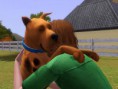 /album/galeria-de-fotos-scooby-doo-para-the-sims-3-pets/mts-xdarkshadowx-1245068-mts-darkshadow-scoobydoo-10-jpg/