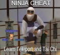 Ninja Cheat! Aprenda Teleport e Tai Chi!!!